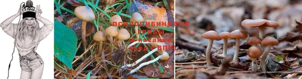 каннабис Нея