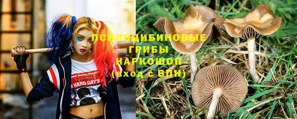 мет Новозыбков