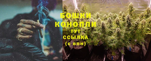 каннабис Новокубанск