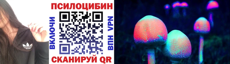 Псилоцибиновые грибы GOLDEN TEACHER Светогорск